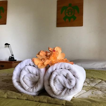 Mangai Rapa Nui Ξενοδοχείο Χάνγκα Ρόα Εξωτερικό φωτογραφία
